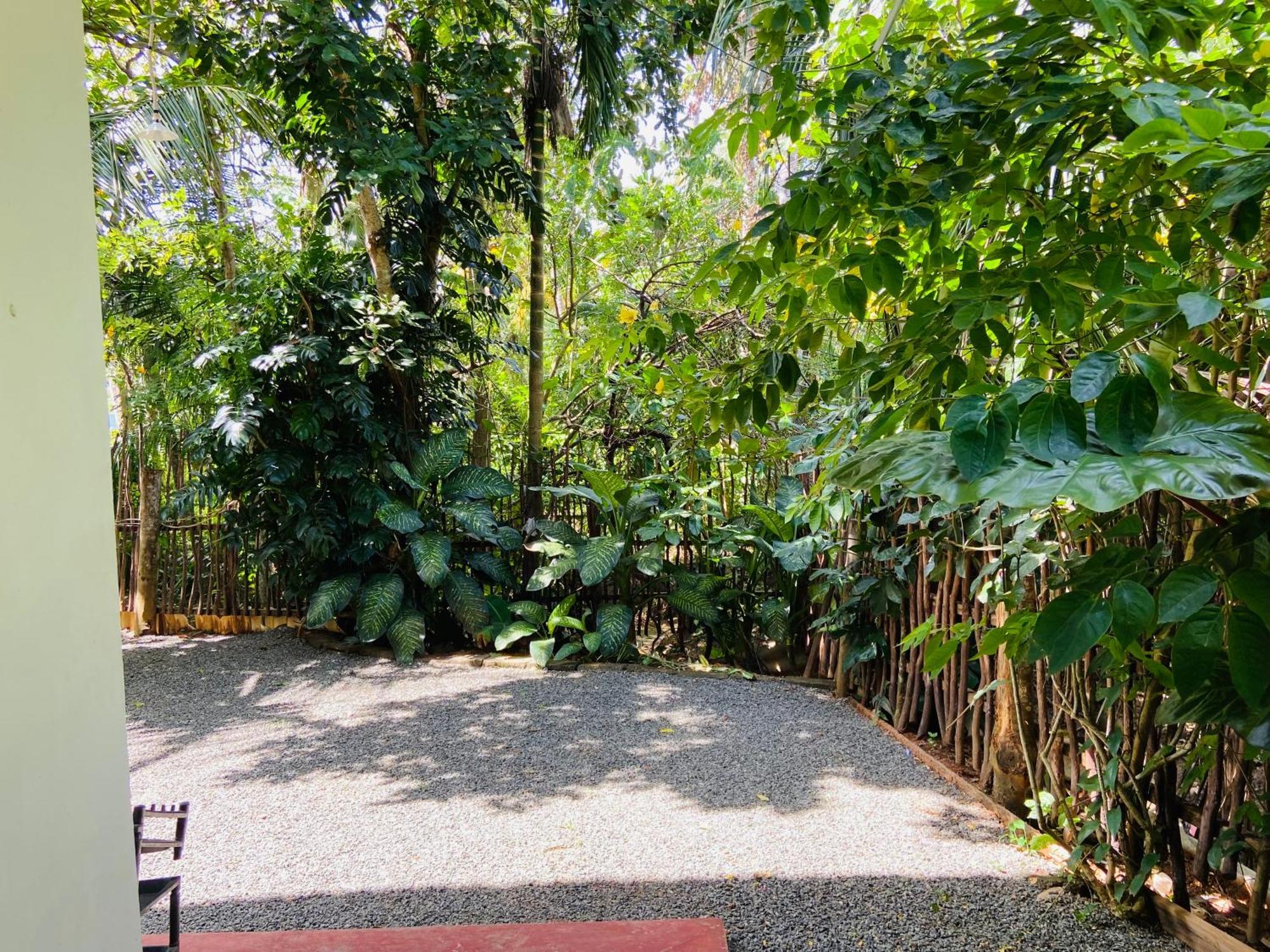 Leo Homestay Dikwella Exterior foto